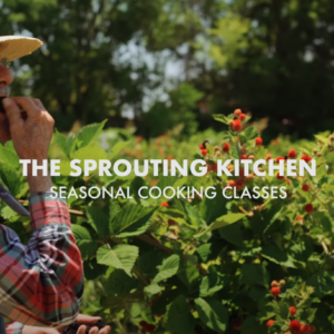 Farmer Eating Berries