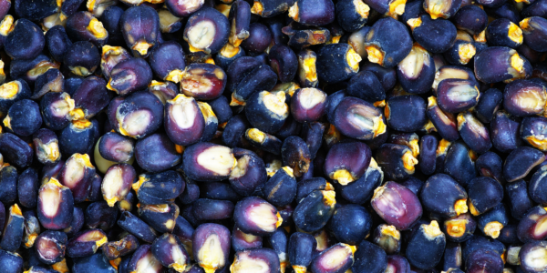 Blue Corn Polenta & Red Chile Squash Ingredient Kit - Image 3